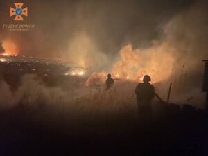 У Запорізькому районі палала масштабна пожежа на відкритій території (ФОТО)