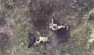 Контрольний удар: на Запоріжжі влучно “підсмажили” ворога (ВІДЕО)