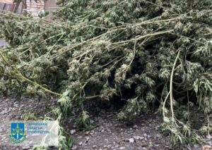 У Запоріжжі у чоловіків вилучили 13 кілограмів наркотиків (ФОТО)