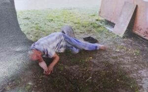 Лежали на землі: у Запоріжжі чиновники опублікували фото п’яних відвідувачів алкоМАФу