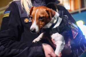 Пес Патрон у Запоріжжі завітав на захід до школярів (ФОТОРЕПОРТАЖ)