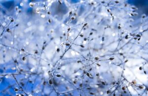 Что будет с погодой в Запорожье на выходных 13-14 января