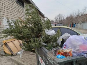 Запорожцев призывают не выбрасывать елки в мусорные контейнеры (ФОТО)