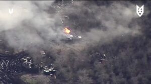 На Запорізькому напрямку спалено три ворожих САУ (ВІДЕО)