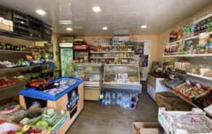 В центре Запорожья выставили на продажу сразу 7 магазинов (ФОТО)