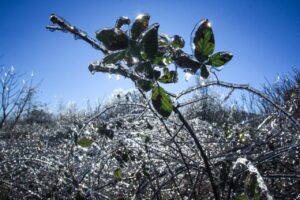 В Запорожье вернется плюсовая температура, но осадки будут интенсивными