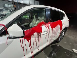 У Запоріжжі замдиректорці пологового облили фарбою авто та не подовжили контракт (ФОТО, ВІДЕО)