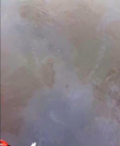 У Запоріжжі навпроти Центрального пляжу виявили плями від нафти в річці