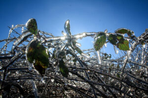 У Запоріжжі “плюсова температура” зміниться на морози: названа дата похолодання