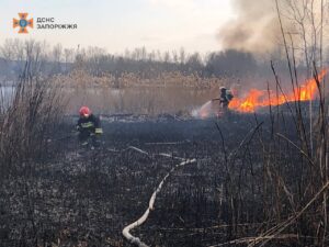 Під Запоріжжям приборкали масштабну пожежу на 950 “квадратів” (ФОТО)