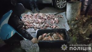 Під Запоріжжям браконьєри виловили півтонни риби на 1,5 мільйона гривень (ФОТО)