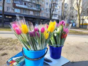Скільки коштують квіти 8 березня у Запоріжжі (ФОТО)