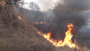 У Запоріжжі рятувальники ліквідували пожежу на відкритій території (ВІДЕО)