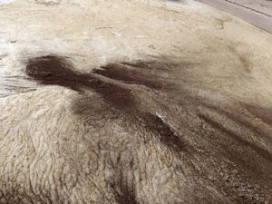 Після обстрілів ДніпроГЕСу на Дніпрі виявили плями нафти площею 5 тисяч квадратів (ФОТО)