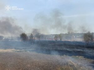 Вогонь загрожував будинкам: під Запоріжжям на 15 гектарах палала пожежа (ФОТО)