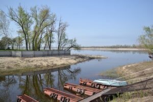 Хвороби й зменшення популяції: як руйнування Каховської ГЕС і атаки по Запоріжжю вплинули на стан водних біоресурсів
