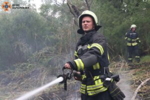 На Запоріжжі за добу гасили 4 пожежі в екосистемах