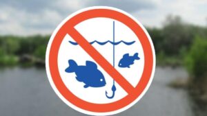 Особливості нересту на внутрішніх водоймах Запорізької області