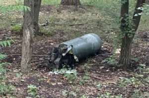 У центрі села на Запоріжжі не здетонувала ворожа фугасна авіабомба (ВІДЕО)