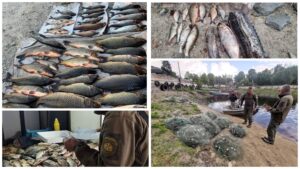 Більше півтони випущеної риби: підсумки сезону нерестової заборони у Запоріжжі (ФОТО, ВІДЕО)