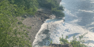 У Запоріжжі та області виявили 12 порушень правил рибальства