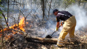 На Запоріжжі рятувальники ліквідували 19 пожеж в екосистемах