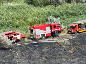 У Запорізькій області рятувальники ліквідували 9 пожеж в екосистемах