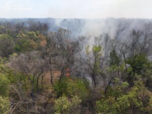 На Запоріжжі рятувальники ліквідували 25 пожеж в екосистемах