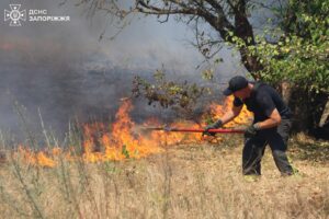 У Запорізькій області рятувальники ліквідували 17 пожеж в екосистемах