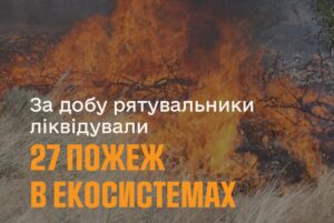 У Запорізькій області рятувальники ліквідували 27 пожеж в екосистемах