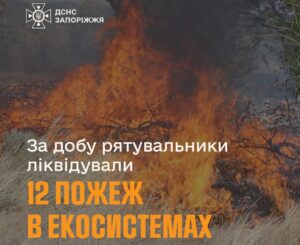 У Запорізькій області рятувальники ліквідували 12 пожеж в екосистемах