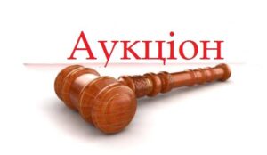 Переможець аукціону у Запоріжжі заплатив у 10 разів більше від стартової вартості лоту: що він придбав (ФОТО)