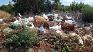 У Запоріжжі виявили осередки стихійного сміттєзвалища (ФОТО)
