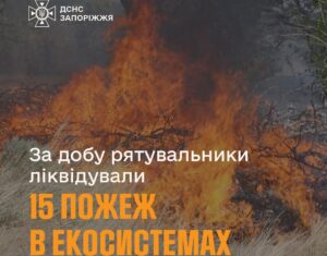На Запоріжжі рятувальники ліквідували 15 пожеж в екосистемах
