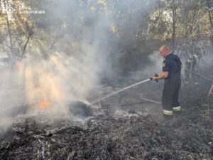 У Запорізькій області рятувальники ліквідували 13 пожеж в екосистемах