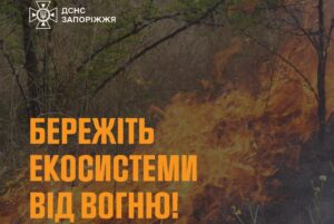Полум’я на 5000 кв.м: рятувальники розкрили деталі пожежі на Запоріжжі