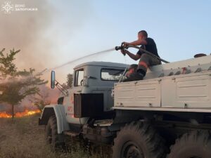 У Запоріжжі на острові Хортиця цими вихідними  сталася сильна пожежа (ФОТО)