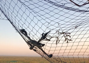 На Запорізькому напрямку прикордонники спіймали ворожий БПЛА в сітку