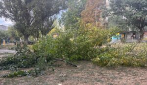 У Запоріжжі затримали чоловіка, який знищував зелені насадження