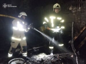 У Запоріжжі зросла кількість загиблих собак внаслідок пожежі в притулку (ФОТО)