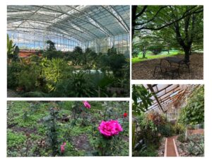 Як виглядає ботанічний сад у Запоріжжі зараз (ФОТОРЕПОРТАЖ)