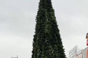 У Запоріжжі встановлюють першу новорічну ялинку (ВІДЕО)