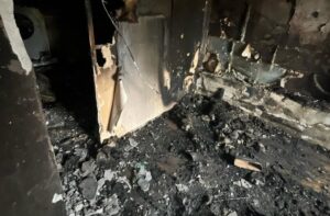 У кінному клубі в Запоріжжі сталася пожежа: загинули тварини (ФОТО)