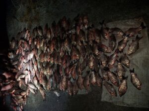 На Запоріжжі викрили браконьєра, який наловив риби на суму 435 тисяч гривень (ФОТО)