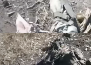 Показано наслідки штурмів росіян на Запорізькому напрямку (ВІДЕО)