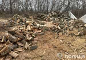 На Запоріжжі упіймали на гарячому “чорних лісорубів”, які завдали збитків екосистемі на понад 1,2 млн гривень