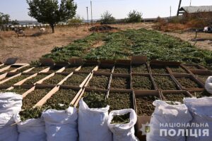 Завдяки запорізькій поліції до незаконного обігу не потрапили майже 806 кілограмів наркотиків