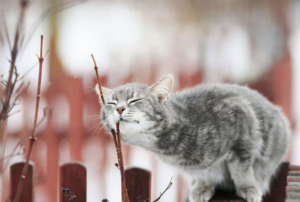 На Запорожье надвигается временное потепление: прогноз погоды