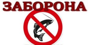 Ловити не можна: в Запоріжжі вступила в дію заборона на вилов хижої риби