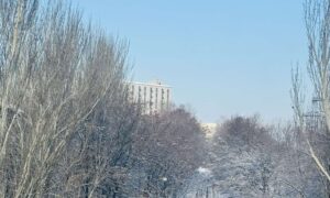 Зима вернулась: когда в Запорожье еще выпадет снег?